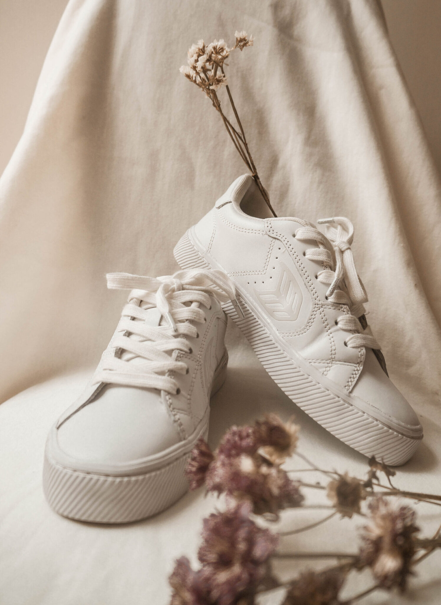 Cariuma Sustainable Sneakers Are they worth it? Our Fashion Garden