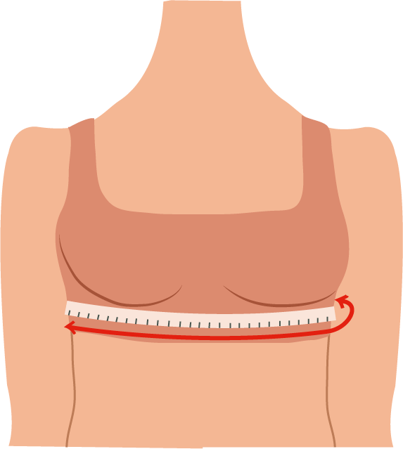 How to Find Your Bra Size: The Easy Guide  Bra fitting guide, Bra sizes, Measure  bra size