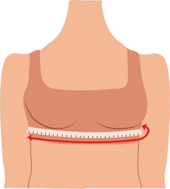 How to Find Your Bra Size: The Easy Guide  Correct bra sizing, Bra fitting  guide, Bra size guide