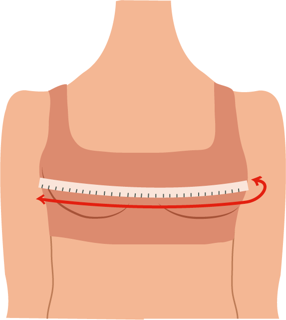 How To Measure Your Bra Size