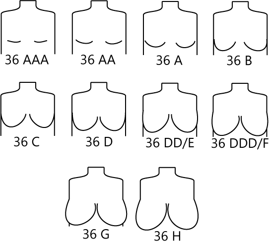 Bra sizes