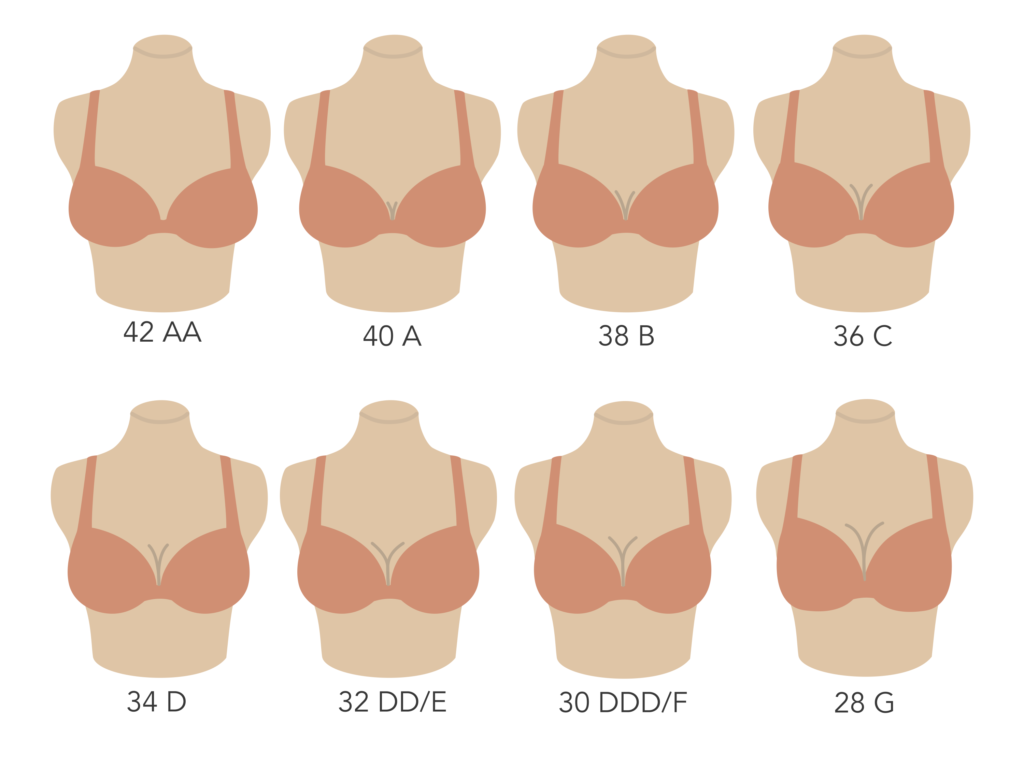 How Bra Sizes Work