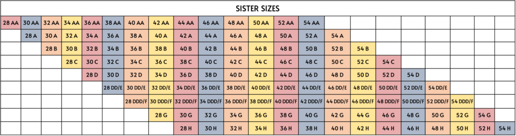Bra Size B36  Bra sizes, Bra, Clothes design