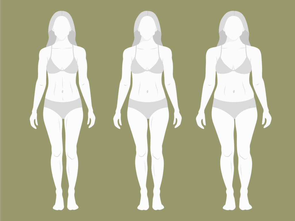 Three natural kibbe female body types Royalty Free Vector