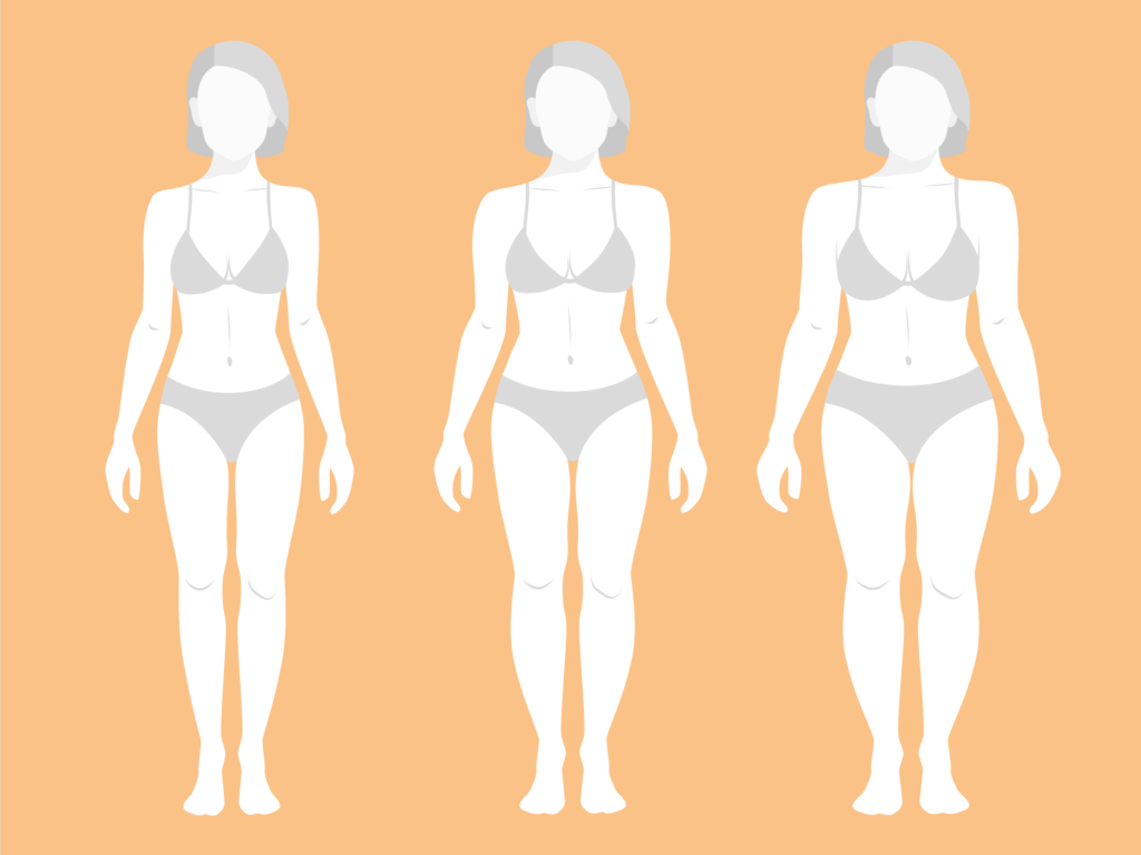 Gamine soft flamboyant body types Royalty Free Vector Image