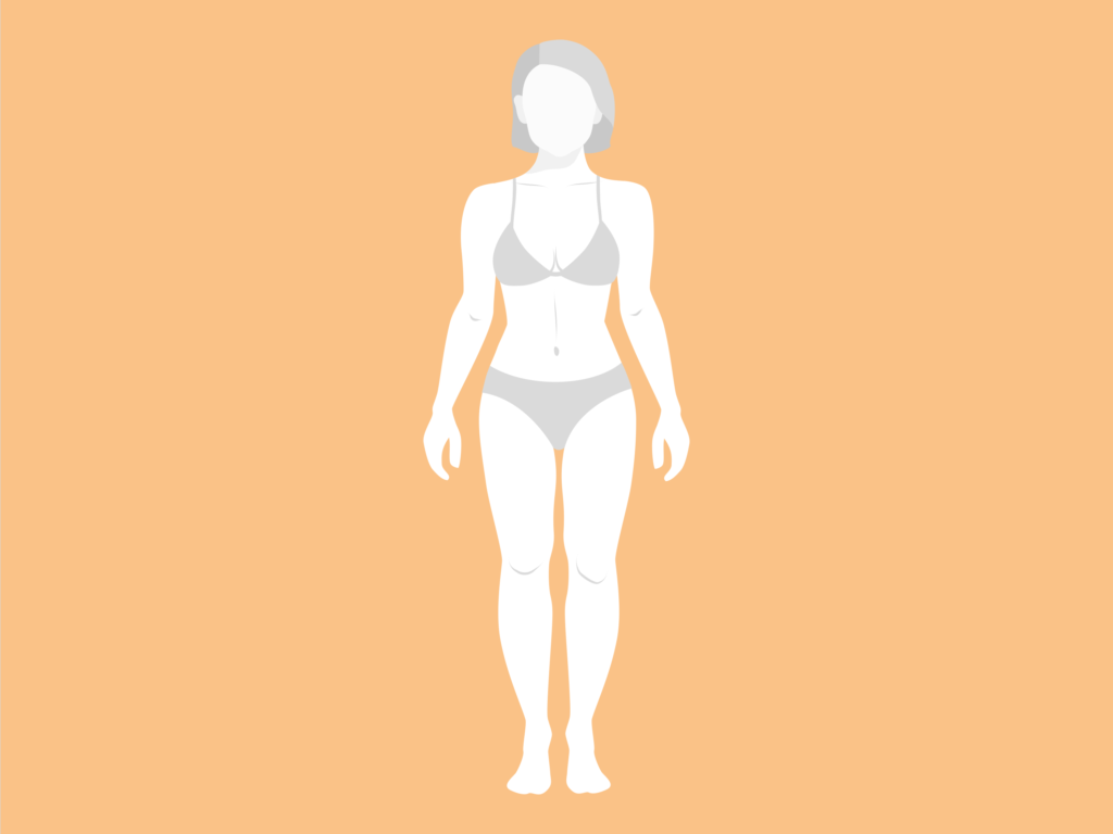 Kibbe Body Type Quiz With Illustrations (very specific) - Our Fashion Garden